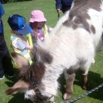 care home donkey