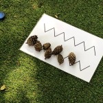 outdoor 4
