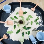 IMG_4019