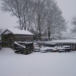 snow 1
