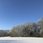 snow 3